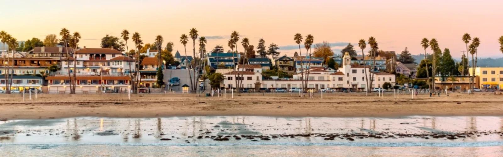 Explore Santa Cruz: The Essential Guide for New Visitors