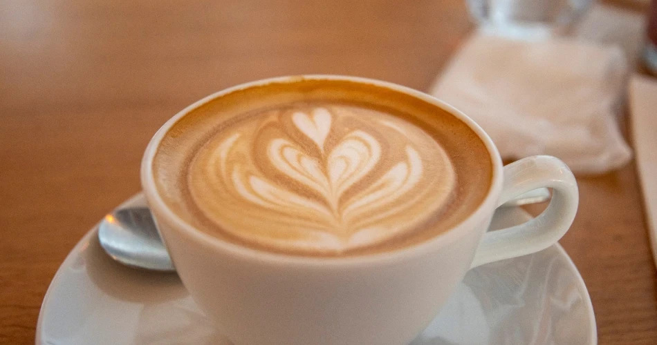 Santa Cruz Food Scene: Must-Visit Restaurants, Cafés & Coastal Eats