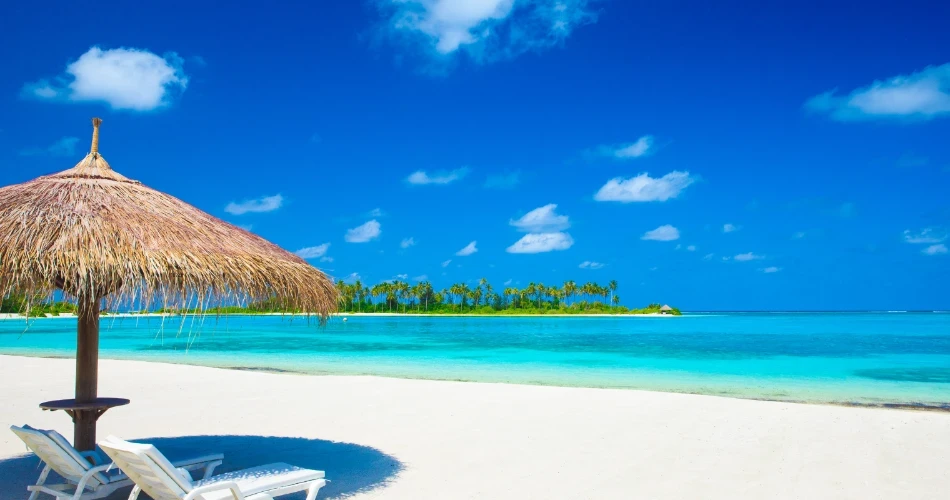 Exploring Santa Cruz Beaches: Swimming, Surfing & Relaxation Spots