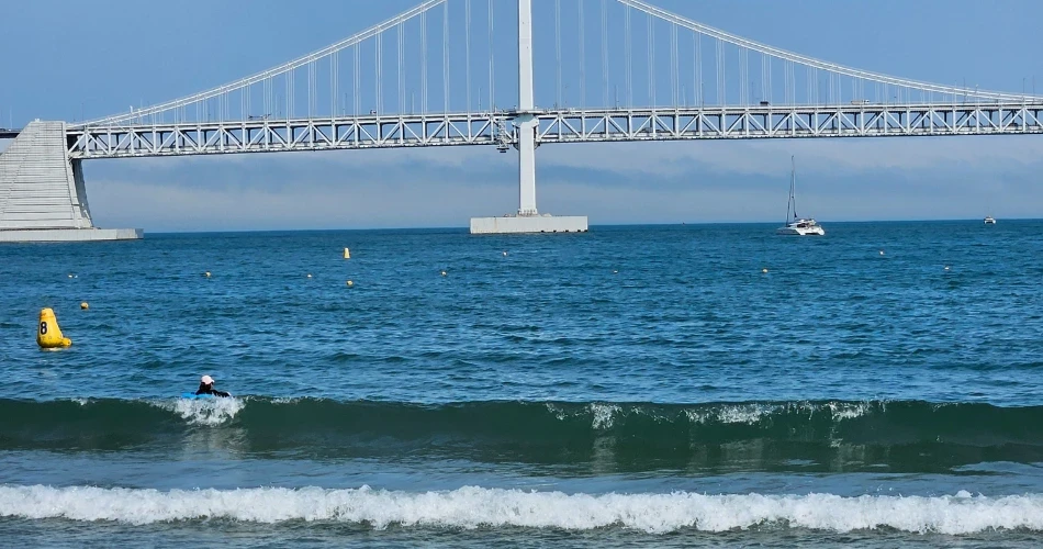 Exploring Santa Cruz Beaches: Swimming, Surfing & Relaxation Spots