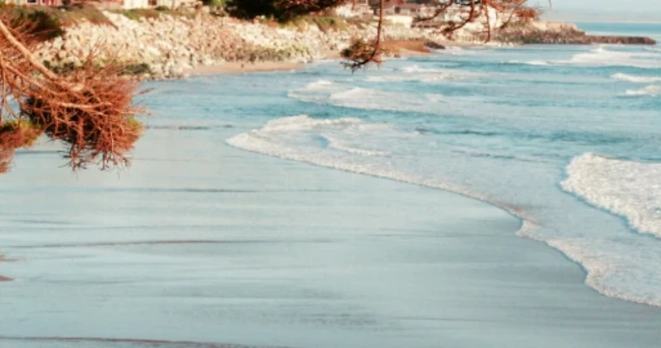 Explore Santa Cruz: The Essential Guide for New Visitors