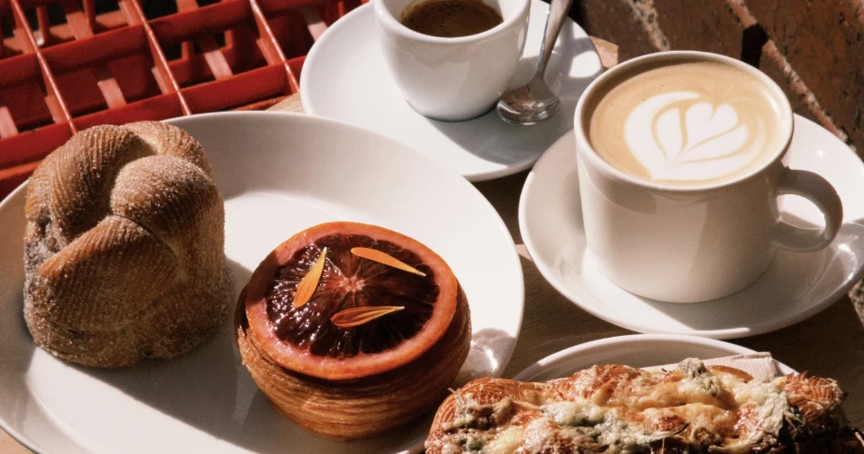 Explore Santa Cruz: The Essential Guide for New Visitors